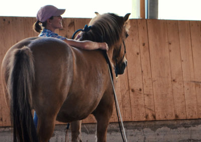 MKA- Natural Horsemanship Bodenarbeit