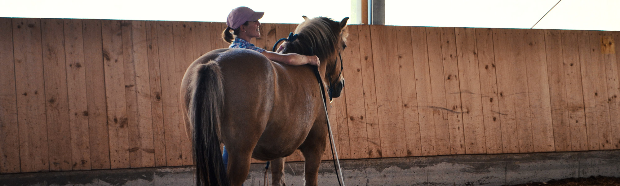 MKA- Natural- Horsemanship Bodenarbeit